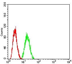 ADAM10 Monoclonal Antibody (6C3C7):Antibodies, Monoclonal