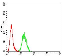 ADAM10 Monoclonal Antibody (6C3C7):Antibodies, Monoclonal