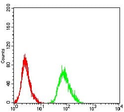 Invitrogen beta-2 Adrenergic Receptor Monoclonal Antibody (5G3B5) 100 &mu;g;
