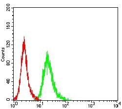 Invitrogen AMBRA1 Monoclonal Antibody (6B11D1) 100 &mu;g; Unconjugated:Antibodies,
