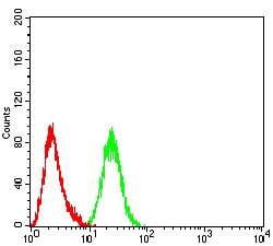 Invitrogen ARF1 Monoclonal Antibody (8D8E9) 100 &mu;g; Unconjugated:Antibodies,
