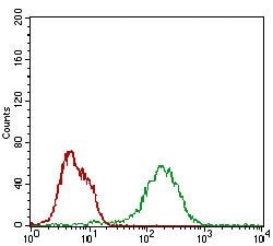 Invitrogen BAD Monoclonal Antibody (1G5B3) 100 &mu;g; Unconjugated:Antibodies,