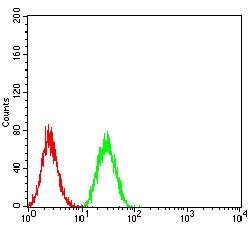 Invitrogen BNIP3 Monoclonal Antibody (6A5F7) 100 &mu;g; Unconjugated:Antibodies,