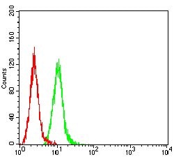 Invitrogen Caldesmon Monoclonal Antibody (3A12G1) 100 &mu;g; Unconjugated:Antibodies,