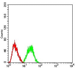 CBX2 Monoclonal Antibody (4C11B10):Antibodies, Monoclonal
