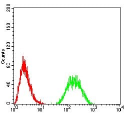 Invitrogen GP130 Monoclonal Antibody (8D4D2) 100 &mu;g; Unconjugated:Antibodies,