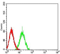 Invitrogen SIRP gamma Monoclonal Antibody (4F8C10) 100 &mu;g; Unconjugated:Antibodies,