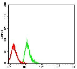 Invitrogen CD299 (DC-SIGN/L) Monoclonal Antibody (8A1B3) 100 &mu;g; Unconjugated:Antibodies,