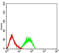 Invitrogen CD307e (FcRL5) Monoclonal Antibody (2A10H7) 100 &mu;g; Unconjugated:Antibodies,