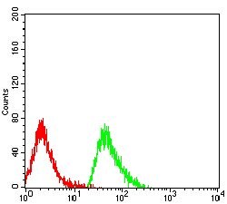 Invitrogen CLEC4D Monoclonal Antibody (6E4B1) 100 &mu;g; Unconjugated:Antibodies,
