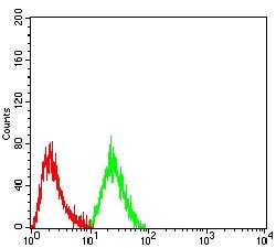 Invitrogen p16INK4a Monoclonal Antibody (4A10E1) 100 &mu;g; Unconjugated:Antibodies,