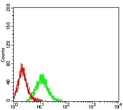 Invitrogen CHRM3 Monoclonal Antibody (4A6B7) 100 &mu;g; Unconjugated:Antibodies,