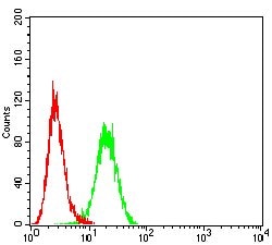 Invitrogen Claudin 6 Monoclonal Antibody (8G5D2) 100 &mu;g; Unconjugated:Antibodies,