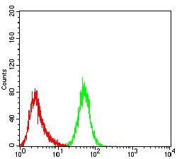 DDX3 Monoclonal Antibody (3B9E3), Invitrogen 100 &mu;g; Unconjugated:Antibodies,
