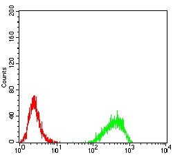 DNMT3B Monoclonal Antibody (4D1A2E5):Antibodies, Monoclonal