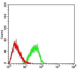 Invitrogen EHMT2 Monoclonal Antibody (2D12A11) 100 &mu;g; Unconjugated:Antibodies,
