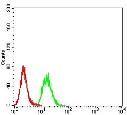 Invitrogen ESRRA Monoclonal Antibody (1A6E11) 100 &mu;g; Unconjugated:Antibodies,