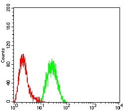 EZH1 Monoclonal Antibody (3B6B9):Antibodies, Monoclonal