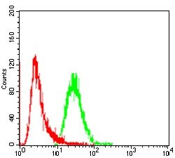 Invitrogen FGFR3 Monoclonal Antibody (2H10B4) 100 &mu;g; Unconjugated:Antibodies,