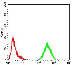 Invitrogen FOXM1 Monoclonal Antibody (6F11A8) 100 &mu;g; Unconjugated:Antibodies,