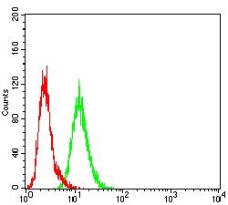Invitrogen FSHR Monoclonal Antibody (3D5G9) 100 &mu;g; Unconjugated:Antibodies,