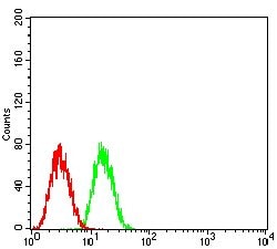 Invitrogen GLI1 Monoclonal Antibody (1B9F8) 100 &mu;g; Unconjugated:Antibodies,