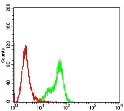 Invitrogen GSTP1 Monoclonal Antibody (1A7B5) 100 &mu;g; Unconjugated:Antibodies,