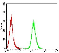 HAS1 Monoclonal Antibody (5C9D6):Antibodies, Monoclonal