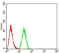 HDAC4 Monoclonal Antibody (5E4A5):Antibodies, Monoclonal