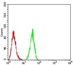 Invitrogen HDAC4 Monoclonal Antibody (7E2E6) 100 &mu;g; Unconjugated:Antibodies,