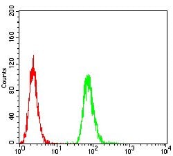 HLA-DRA Monoclonal Antibody (1C11A5):Antibodies, Monoclonal