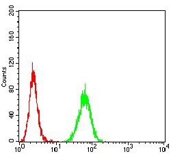 Invitrogen IL1R1 Monoclonal Antibody (4D2D12) 100 &mu;g; Unconjugated:Antibodies,