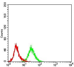 Invitrogen IRAK-M Monoclonal Antibody (6G9G2) 100 &mu;g; Unconjugated:Antibodies,