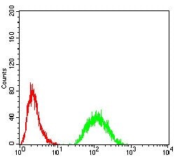 JARID2 Monoclonal Antibody (7H1B3):Antibodies, Monoclonal
