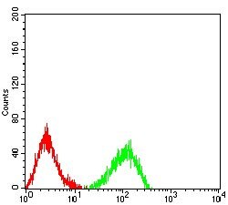 LRP12 Monoclonal Antibody (4E11C5):Antibodies, Monoclonal
