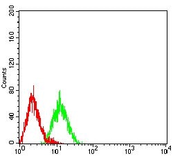 Invitrogen LRP3 Monoclonal Antibody (7B3A5E9) 100 &mu;g; Unconjugated:Antibodies,