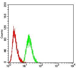 Invitrogen MEK3 Monoclonal Antibody (2E12D11) 100 &mu;g; Unconjugated:Antibodies,