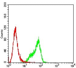 Invitrogen MYLK Monoclonal Antibody (7F2B11) 100 &mu;g; Unconjugated:Antibodies,
