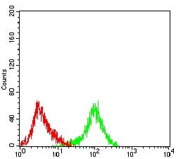 Invitrogen MYLK Monoclonal Antibody (7F2B11) 100 &mu;g; Unconjugated:Antibodies,