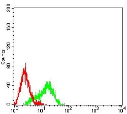 Invitrogen hnRNP M Monoclonal Antibody (5G6C11) 100 &mu;g; Unconjugated:Antibodies,