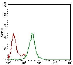 Invitrogen NBS1 Monoclonal Antibody (7E4C2) 100 &mu;g; Unconjugated:Antibodies,