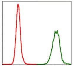 Invitrogen NEDD8 Monoclonal Antibody (5B8) 100 &mu;g; Unconjugated:Antibodies,