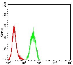 NeuroD1 Monoclonal Antibody (4G12B4):Antibodies, Monoclonal