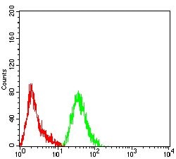 Invitrogen PCK2 Monoclonal Antibody (3D3D9) 100 &mu;g; Unconjugated:Antibodies,