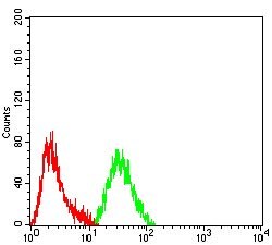 Invitrogen PIK3R4 Monoclonal Antibody (5H3A11) 100 &mu;g; Unconjugated:Antibodies,