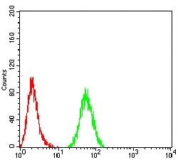 Invitrogen PMS2 Monoclonal Antibody (1E9D11) 100 &mu;g; Unconjugated:Antibodies,