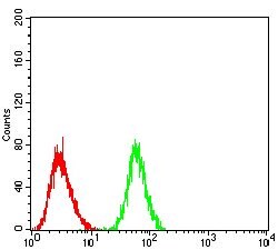 Invitrogen Blimp-1 Monoclonal Antibody (2F1B6) 100 &mu;g; Unconjugated:Antibodies,