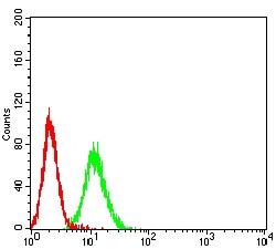 Invitrogen PSG1 Monoclonal Antibody (5C6G7) 100 &mu;g; Unconjugated:Antibodies,