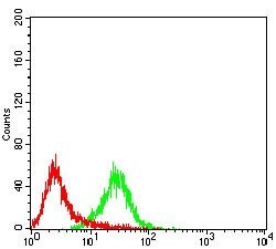 SHP-1 Monoclonal Antibody (2E9E4), Invitrogen 100 &mu;g; Unconjugated:Antibodies,