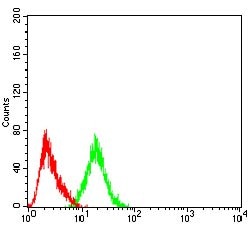 Invitrogen PYCARD Monoclonal Antibody (1C3D7) 100 &mu;g; Unconjugated:Antibodies,